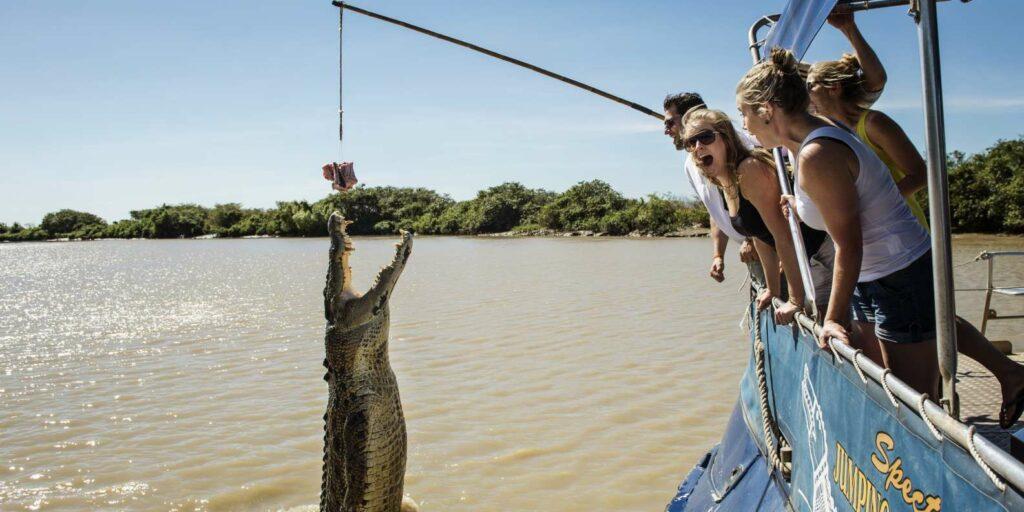 Шоу с крокодилами на реке Аделаида