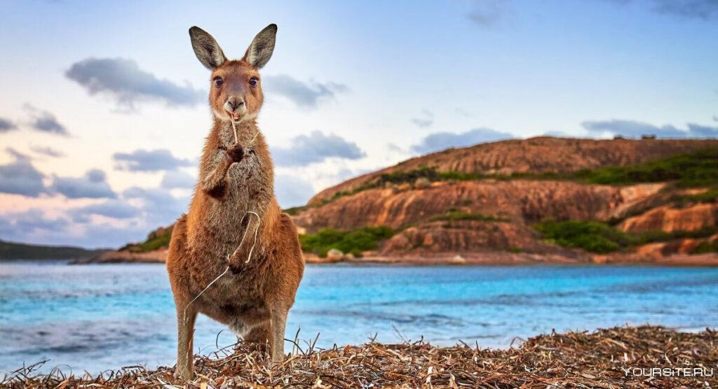 Как правильно путешествовать по Австралии
