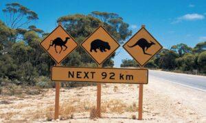 Как безопасно путешествовать по Австралии на машине