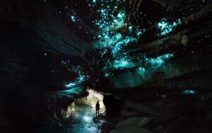 The Waitomo Glowworm caves