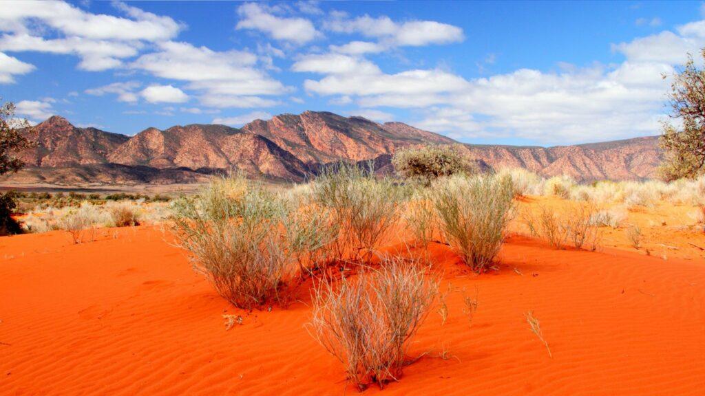 Great Desert Victoria